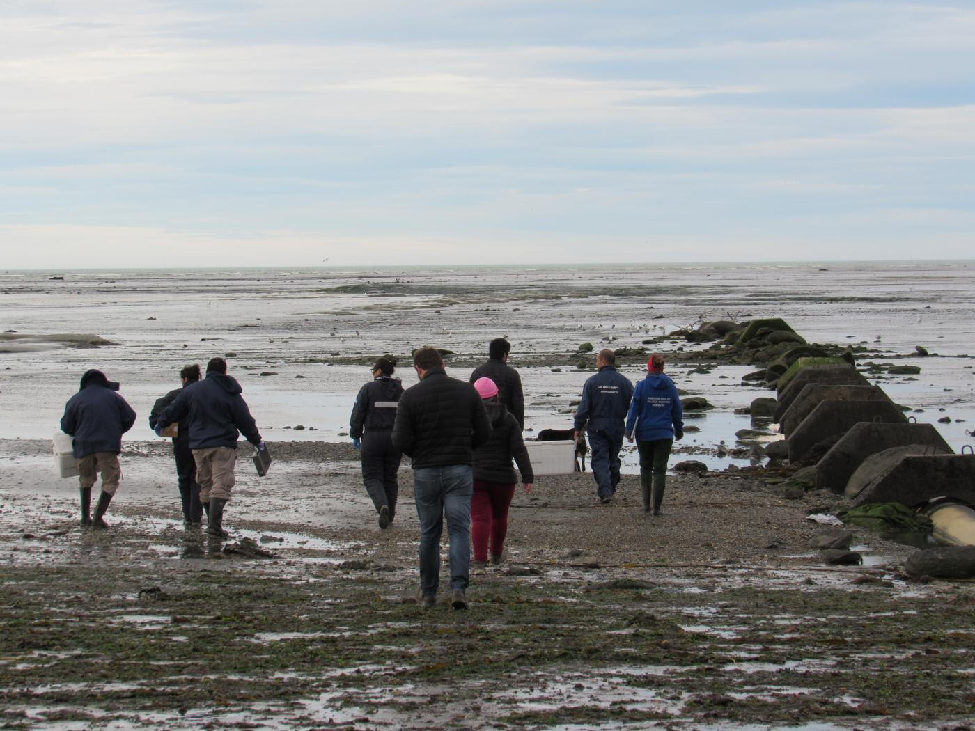 Avanza el sumario por vuelcos contaminantes de la Municipalidad en la costa de  Río Grande