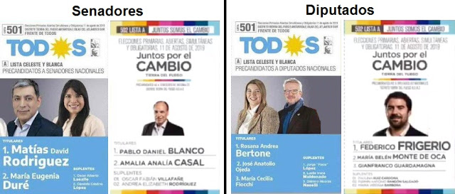 Senadores y Diputados, así votaron los fueguinos