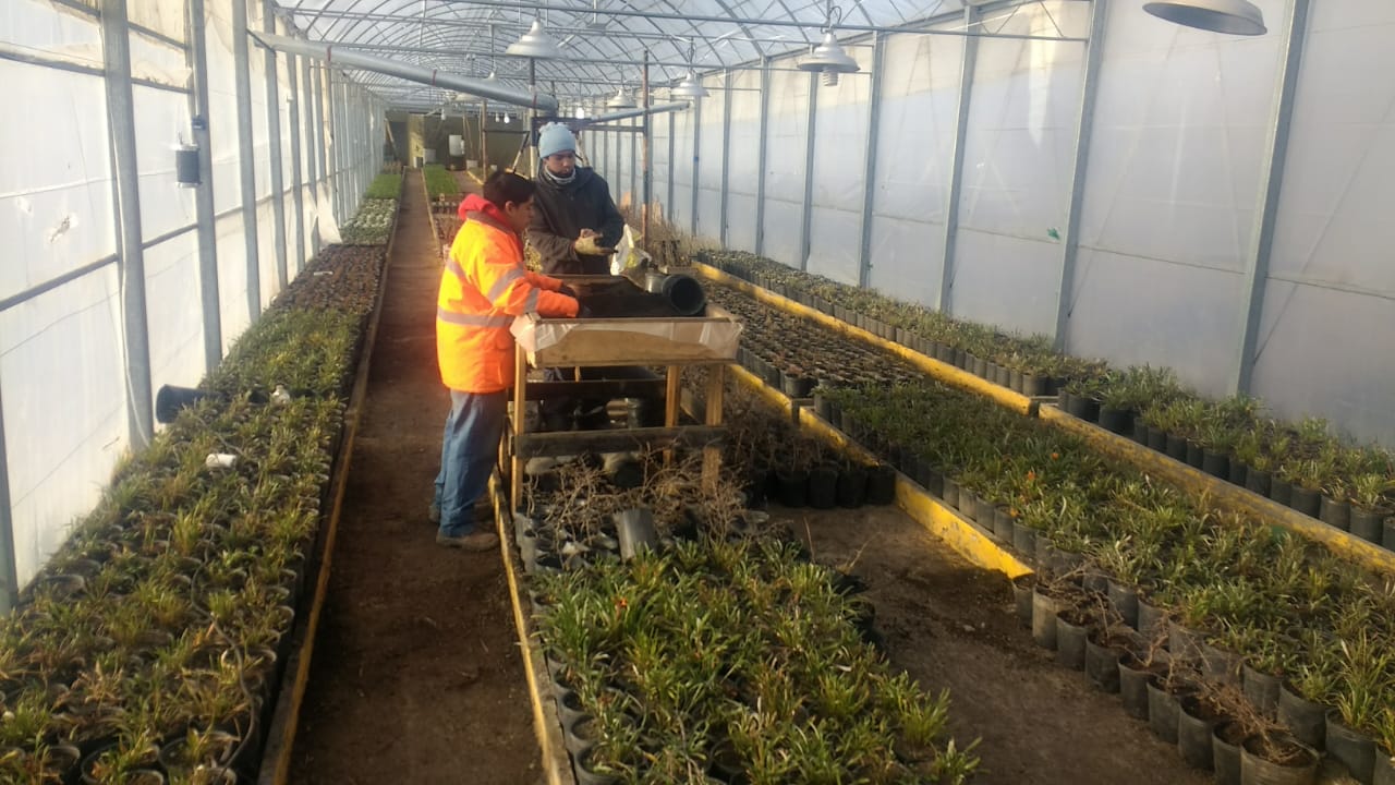 Ushuaia: Parques y jardines reacondicionó espacios verdes