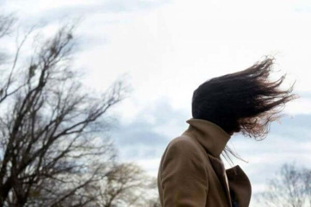 El temporal de viento seguirá hasta el domingo, Defensa Civil ya asistió a más de 50 emergencias