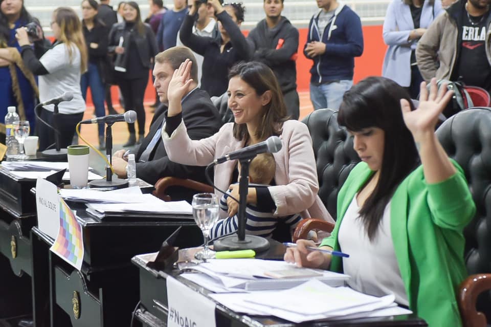 Laura Colazo: “Con esta ordenanza avanzamos hacia una ciudad sustentable”