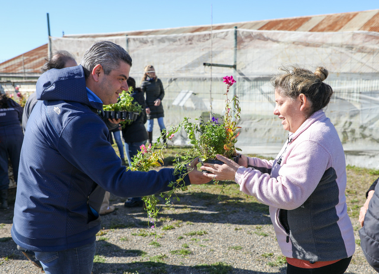 El municipio realizará la última entrega de los plantines de la temporada