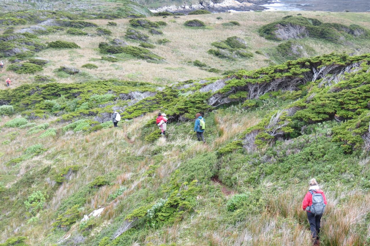 Se extiende la convocatoria a planes de manejo de bosques nativos