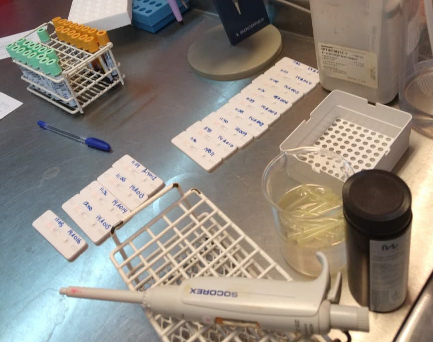 El Municipio busca reducir el impacto de la nueva ola mediante testeos masivos