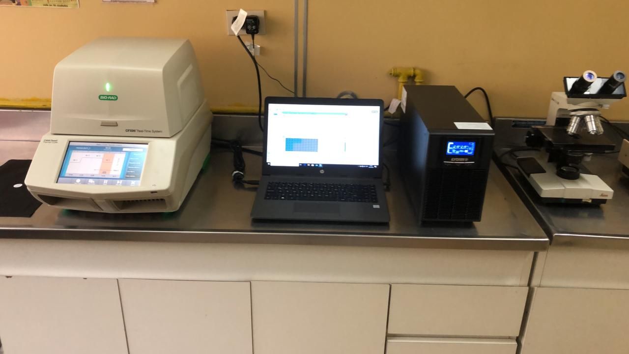 El laboratorio de salud pública recibió un equipo «Real Time»