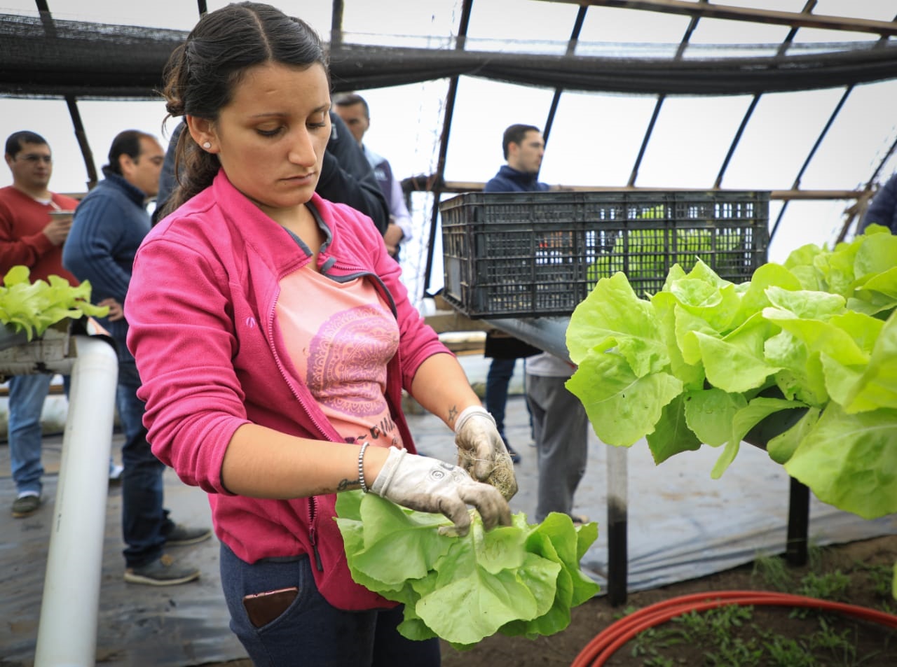 El Municipio lanza el programa “RGA Agro Productiva”
