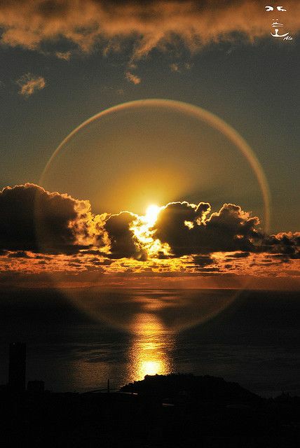 Claudia Verbauwede: Hablemos del «Sol» en astrología