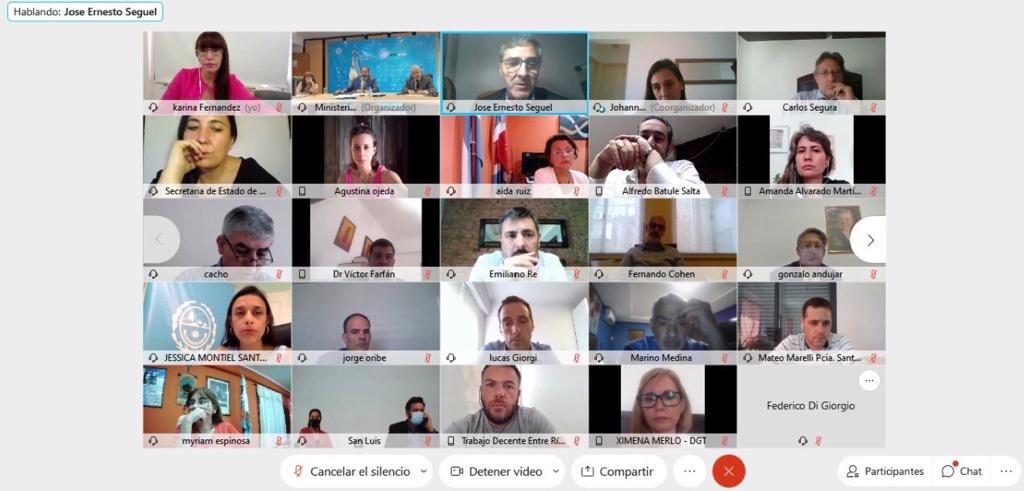 El Ministerio de Trabajo y Empleo participó de la videoconferencia del Consejo Federal Del Trabajo