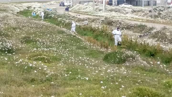 SE REALIZÓ IMPORTANTE OPERATIVO DE LIMPIEZA EN EL DESAGÜE  ALEDAÑO A LA RUTA Nº3