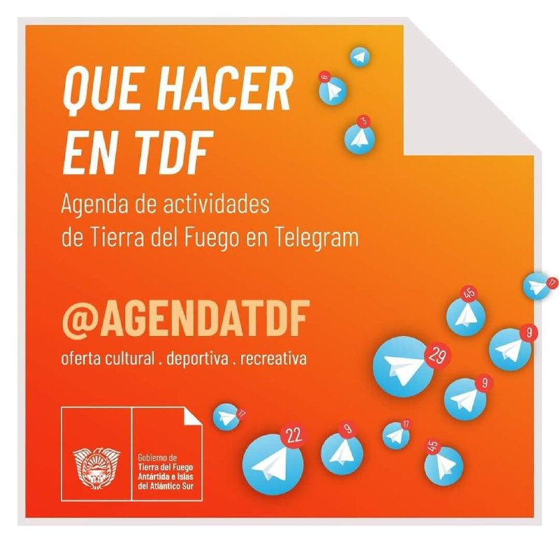 «QUÉ HACER EN TDF»