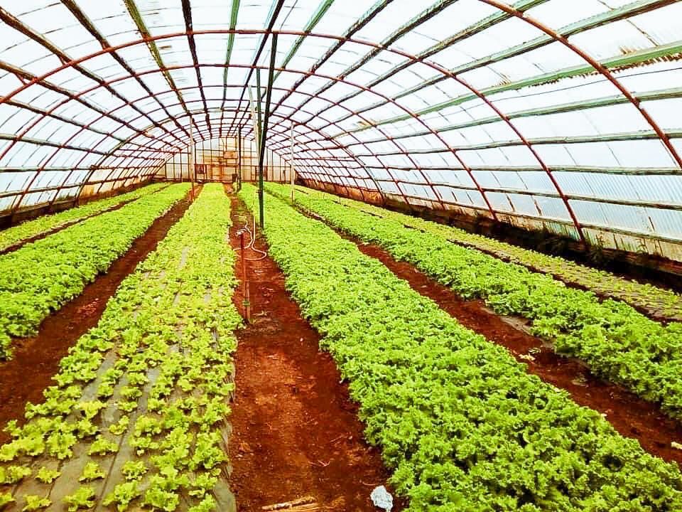 se aprobó un proyecto fueguino para el desarrollo de bioinsumos