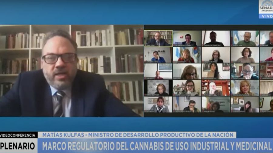 Kulfas: “El proyecto para regular la industria del cannabis medicinal va a generar desarrollo, trabajo y oportunidades”