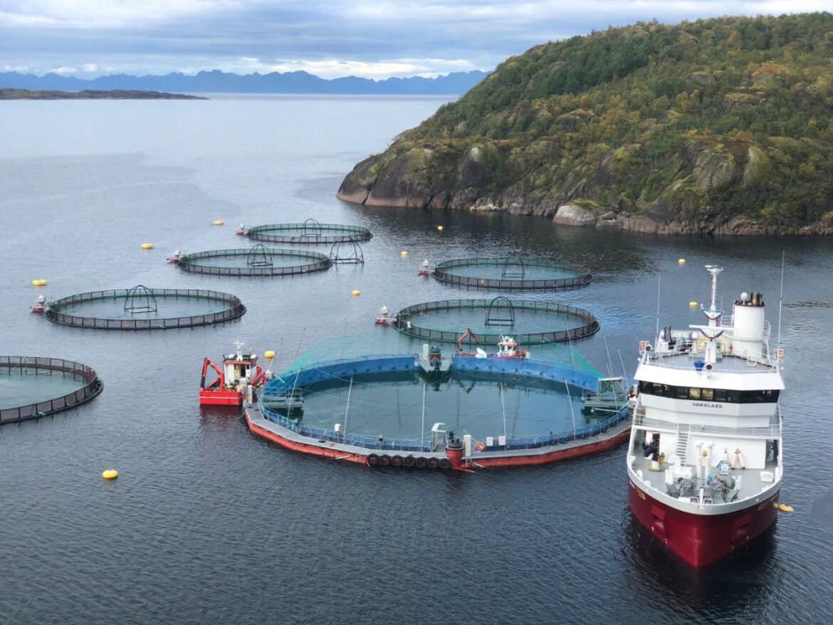 Tierra del Fuego prohíbe la instalación de  salmoneras en al Canal de Beagle