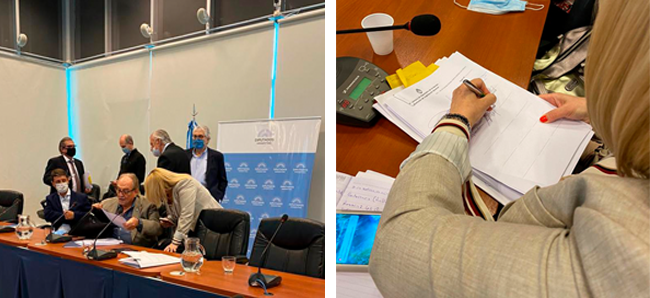 Bertone celebró dictámenes claves que trató Diputados en comisión