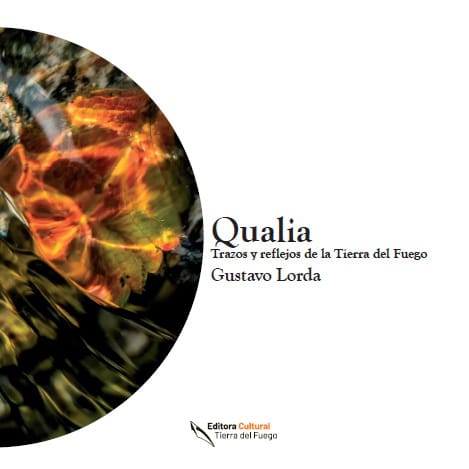Gustavo Lorda presenta Qualia, esta tarde en el MFA