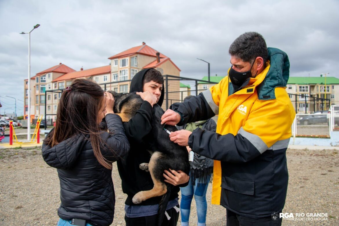 Río Grande Mascotera: cerca de 400 mascotas fueron vacunadas contra la rabia