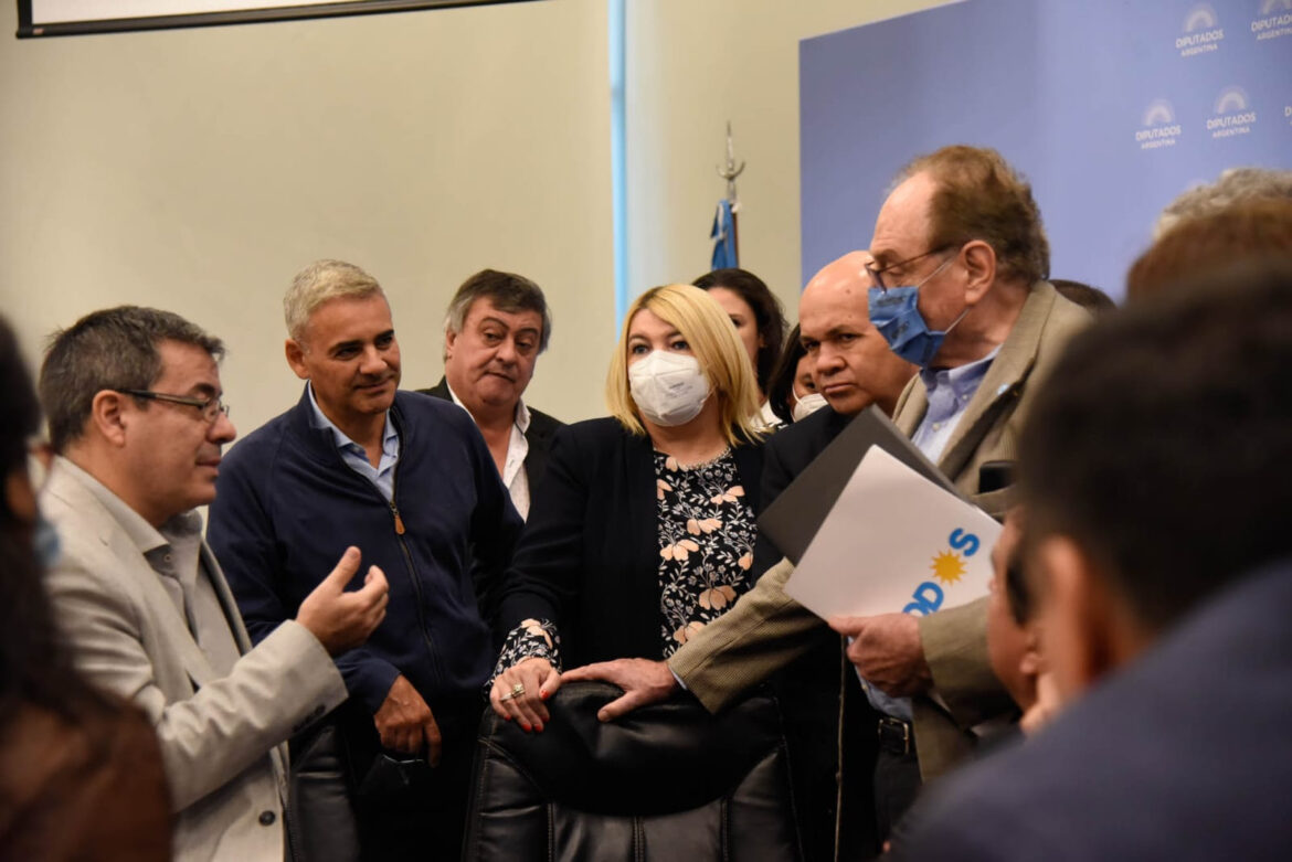 Bertone: «La sociedad transita por un andarivel y los diputados y diputadas pareciera que transitamos por otro»