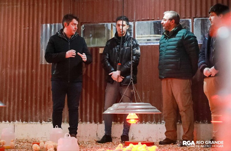En octubre ya estarían en  góndola los pollos del criadero municipal
