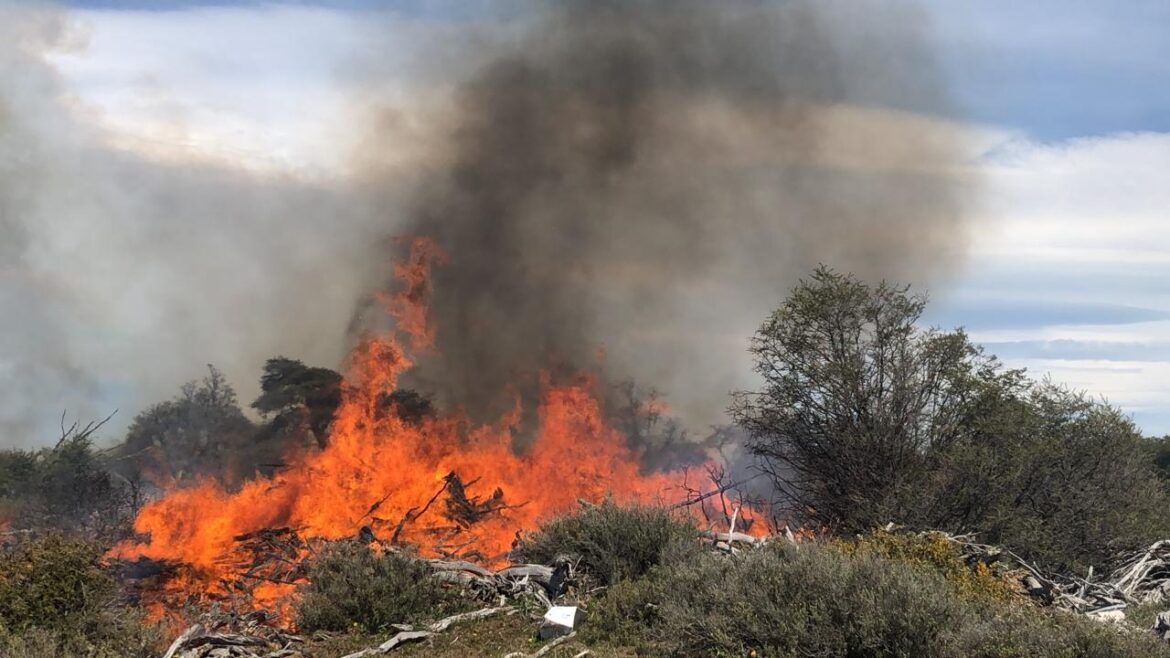 Incendio Forestal: “El problema es grave, el clima no da tregua”