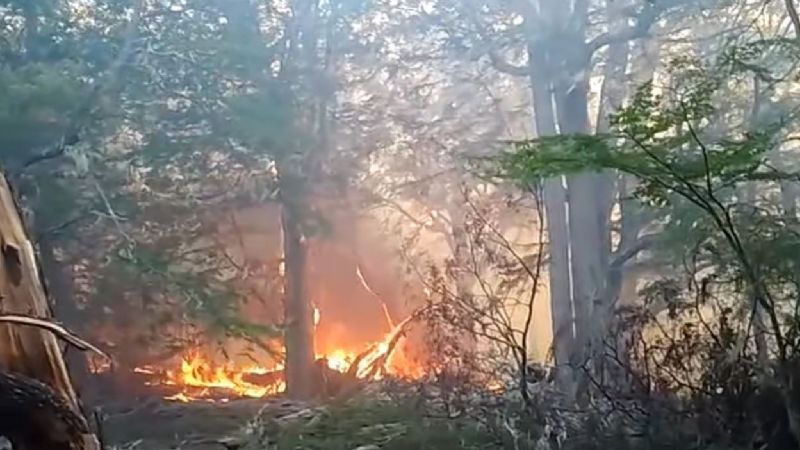 Incendio forestal: Aseguran que la situación comienza a ser favorable y se logró controlar el 50% de los sectores