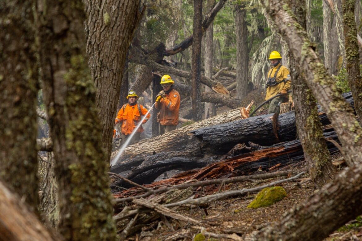 BRIGADISTAS NACIONALES SE SUMARÁN A LA LUCHA CONTRA EL INCENDIO EN LA RESERVA PROVINCIAL CORAZÓN DE LA ISLA