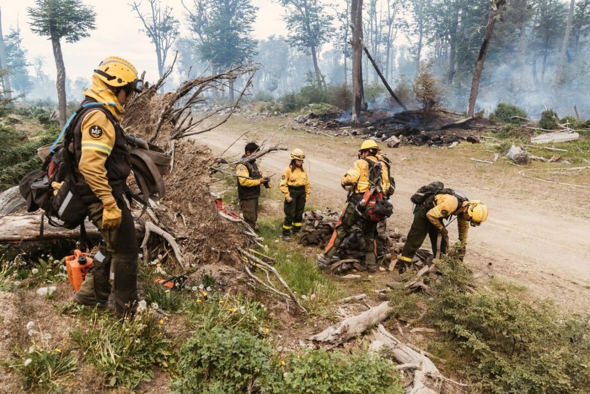 ESTADO DE SITUACIÓN DEL INCENDIO EN LA RESERVA CORAZÓN DE LA ISLA