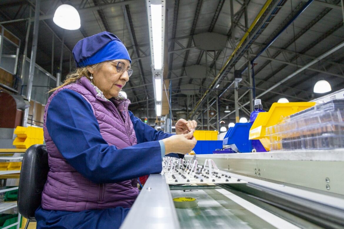 Industria Fueguina: índices de recuperación y crecimiento luego de la pandemia