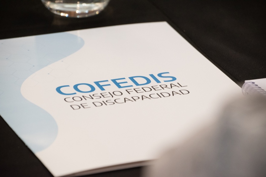 La Provincia será sede de la primera reunión del año del Consejo Federal de Discapacidad