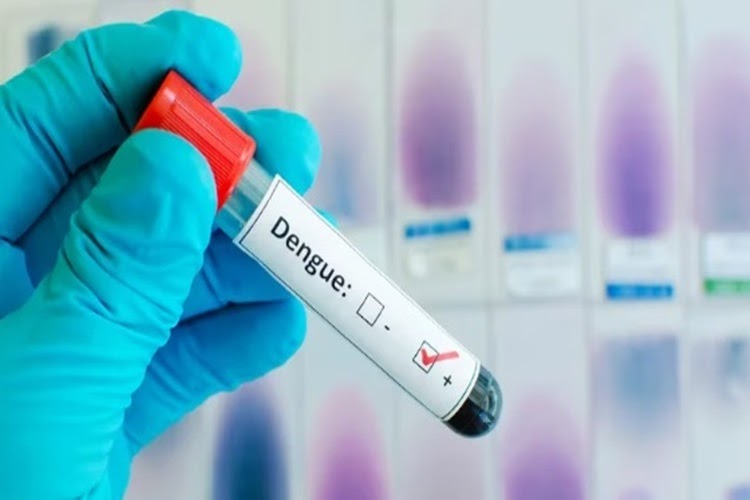 Confirman 13 casos de dengue y 20 sospechos en la Provincia