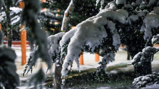 Rige alerta por frío extremo en Chubut, Santa Cruz, Tierra del Fuego y las Islas Malvinas
