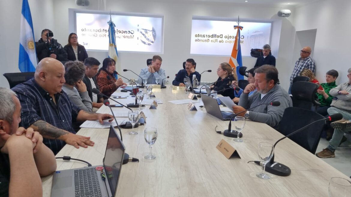 Bucci insistió con que se debe esperar al estudio de mercado para la entrega de licencias