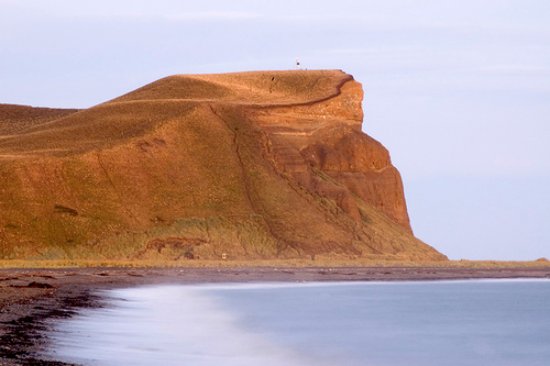 Recomiendan a la población no acercarse al Cabo Domingo ante los casos de gripe aviar