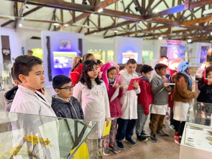 CONOCÉ LA PROPUESTA DEL MUSEO VIRGINIA CHOQUINTEL