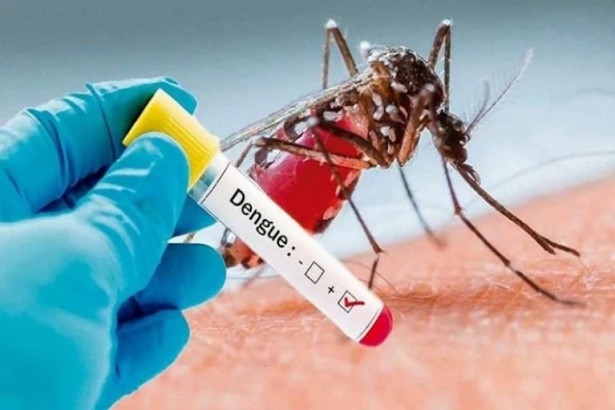 Tierra del Fuego tuvo en las últimas semanas 22 casos de dengue, todos importados