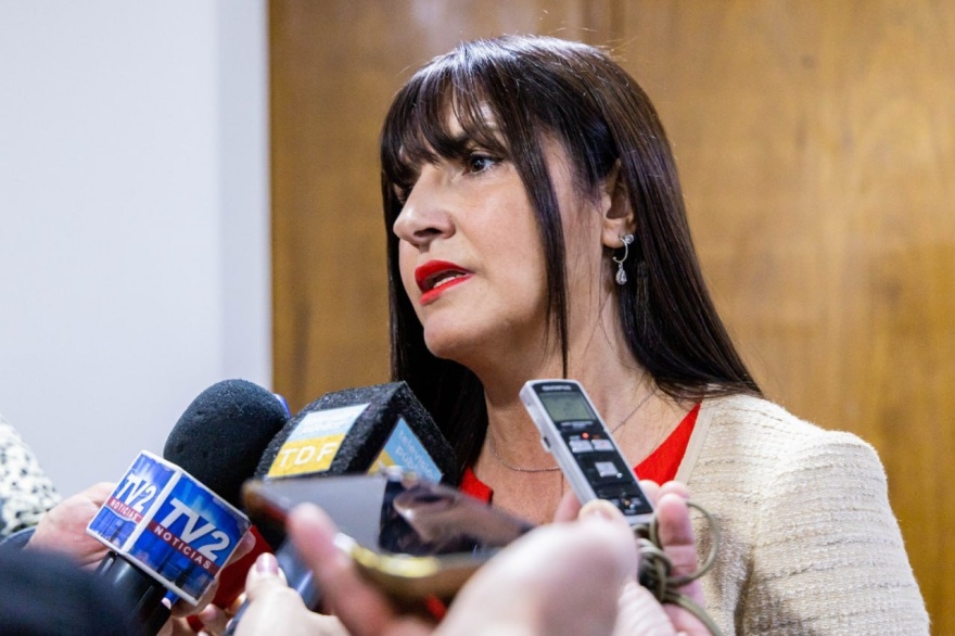 «Es incomprensible que se sigan difundiendo ataques a nuestra industria», cuestionó la ministra Fernández