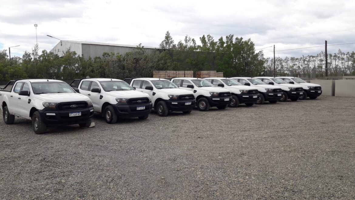 Subastan online 37 pick up y otros utilitarios ubicados en la Patagonia