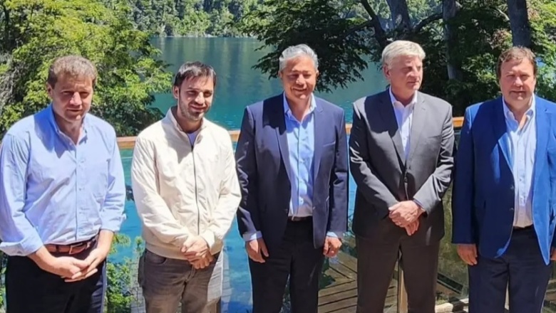 Gobernadores patagónicos crearán una empresa de energía propia: qué es y qué se sabe hasta ahora