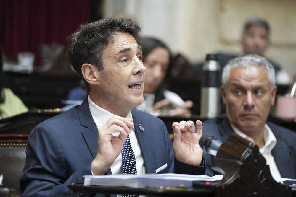 Stefani: «Si nos quieren sacar la 19640 que nos den el gas, la pesca y la logística antártica»