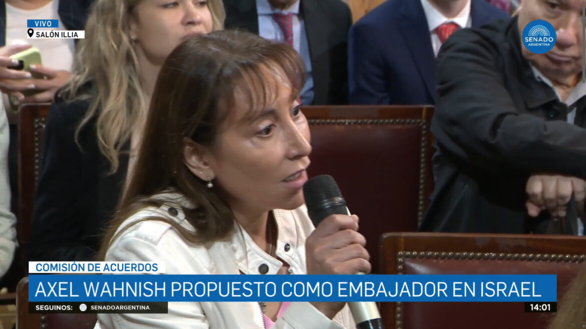 Senadora López: “¿Los intereses de quién piensan que va a defender?”