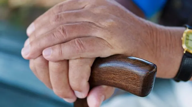 El Gobierno habló del desdoblamiento de las jubilaciones: «No son dos cuotas, son dos momentos distintos»