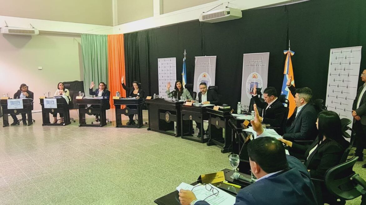 La sesión del Concejo Deliberante el 24 de marzo fue un papelón democrático