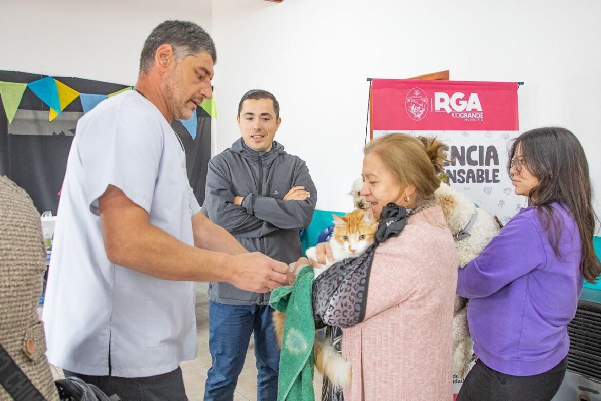Se vienen 2 jornadas de vacunación antirrábica, chipeo y castración