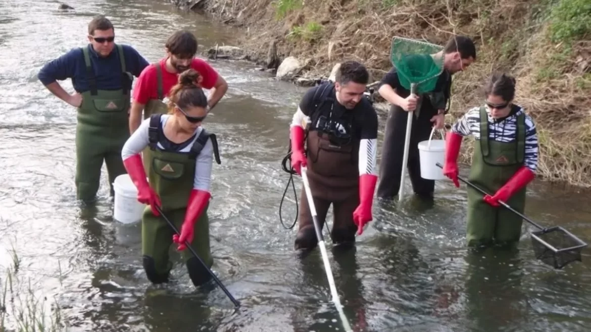 La pesca eléctrica se realiza de manera clandestina en los ríos argentinos