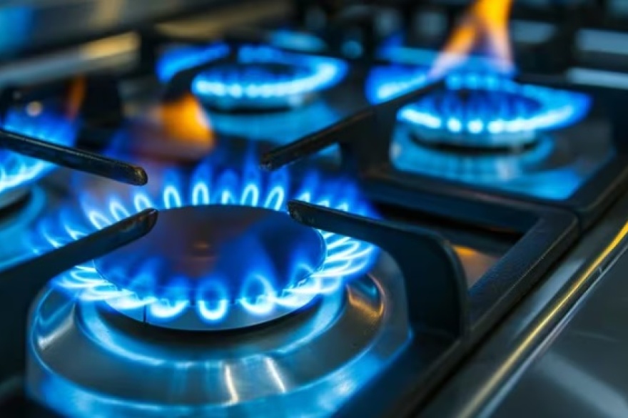Las distribuidoras de gas le reclaman al Gobierno una deuda millonaria por el régimen de zonas frías