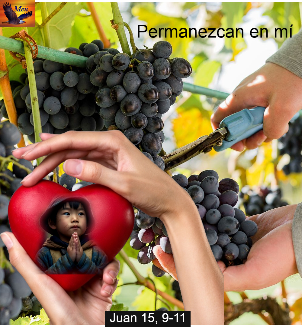 Una imágen por mil vidas