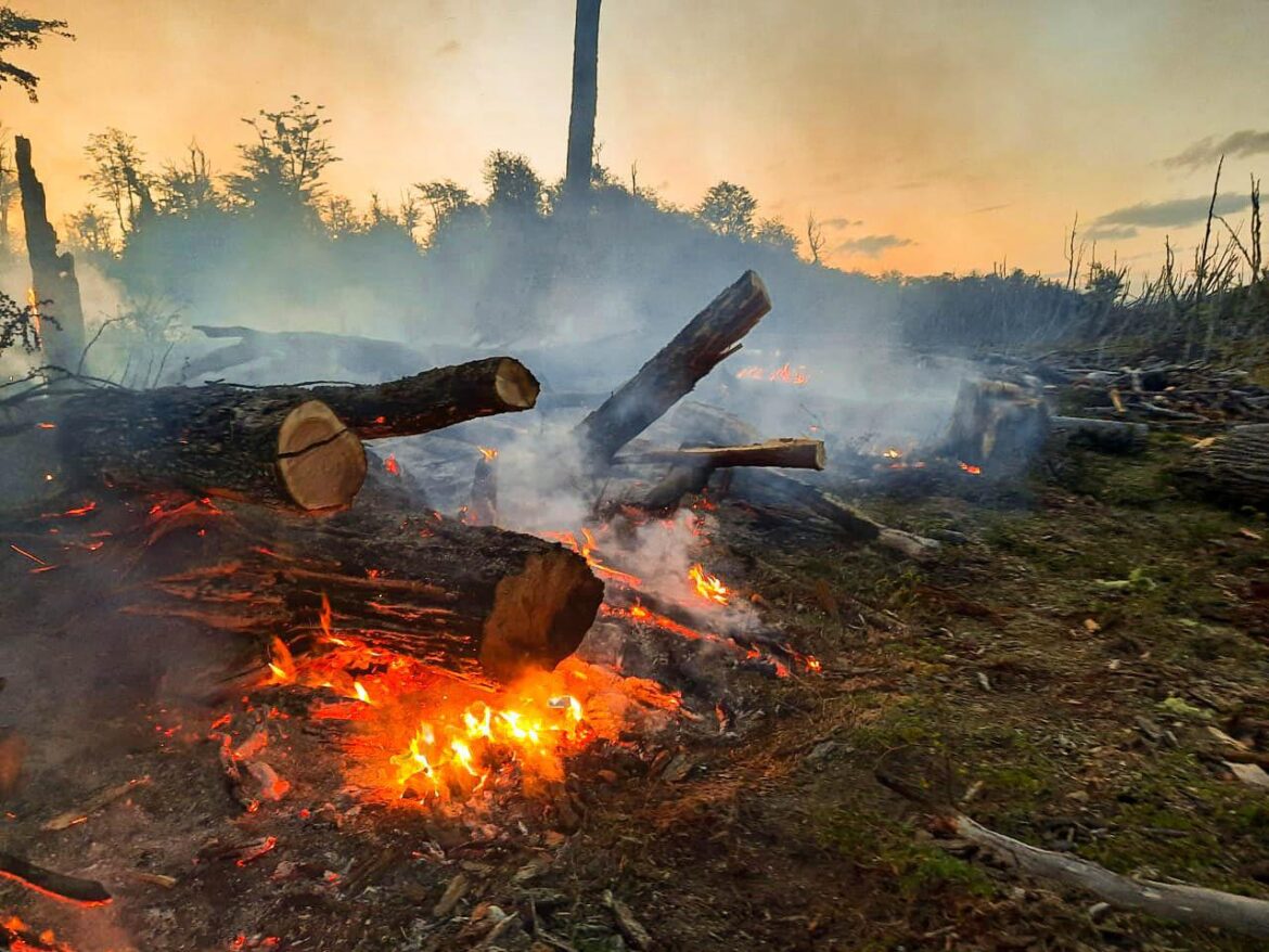 Irán a juicio los dos imputados por haber iniciado el incendio forestal en la Reserva ‘Corazón de la Isla’ en 2022