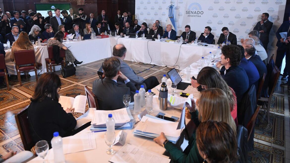 Cuáles fueron las modificaciones que pidió la oposición en el Senado para dar dictamen de la Ley Bases