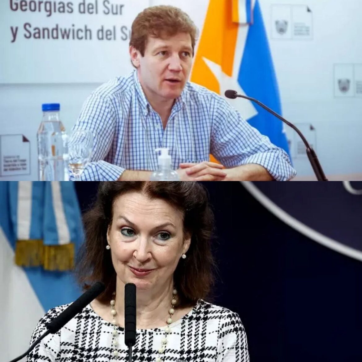 Melella cuestionó declaraciones de la canciller Diana Mondino