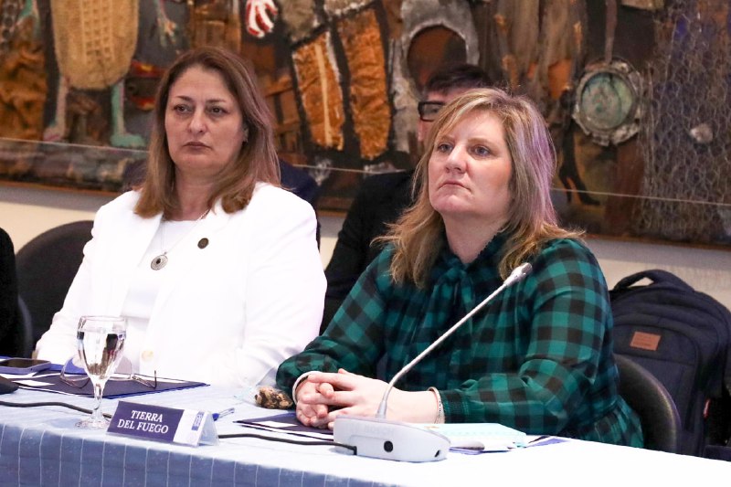 Tierra del Fuego participó de un nuevo encuentro del COFESA con el dengue como tema central