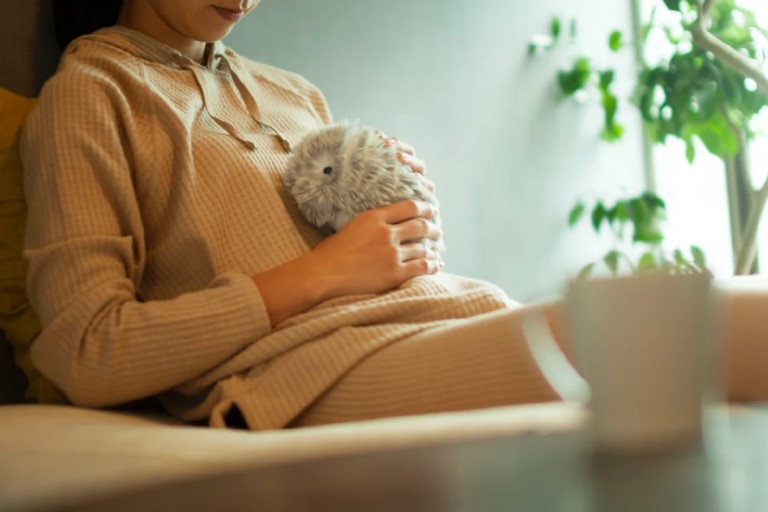 Casio Revoluciona la Tecnología con Moflin: El Robot Mascota que Ofrece Confort Emocional